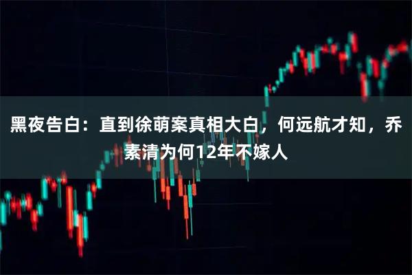 黑夜告白：直到徐萌案真相大白，何远航才知，乔素清为何12年不嫁人