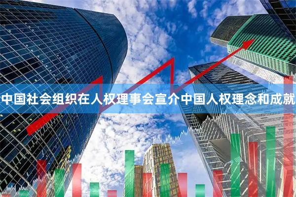 中国社会组织在人权理事会宣介中国人权理念和成就